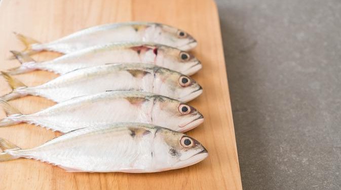 Cegah Stunting, Mahasiswa Jatim Undang Ibu buat Nugget dari Ikan Kembung