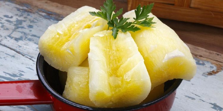 7 Dampak Negatif Konsumsi Singkong Berlebihan untuk Kesehatan