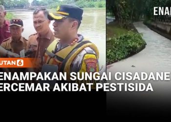 Penampakan Sungai Cisadane Tercemar Karena Kebakaran Gudang Pestisida