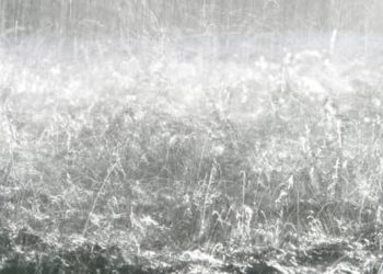 Prakiraan Cuaca Jakarta Hari Ini Hujan Seharian di Jaksel dan Jakbar