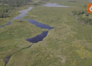 Merayakan Pengetahuan Tradisional Sambil Menyelamatkan Ekosistem