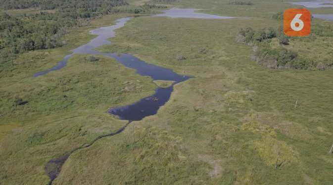 Merayakan Pengetahuan Tradisional Sambil Menyelamatkan Ekosistem