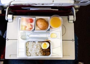 Alasan Ilmiah Mengapa Makanan Pesawat Tidak Enak